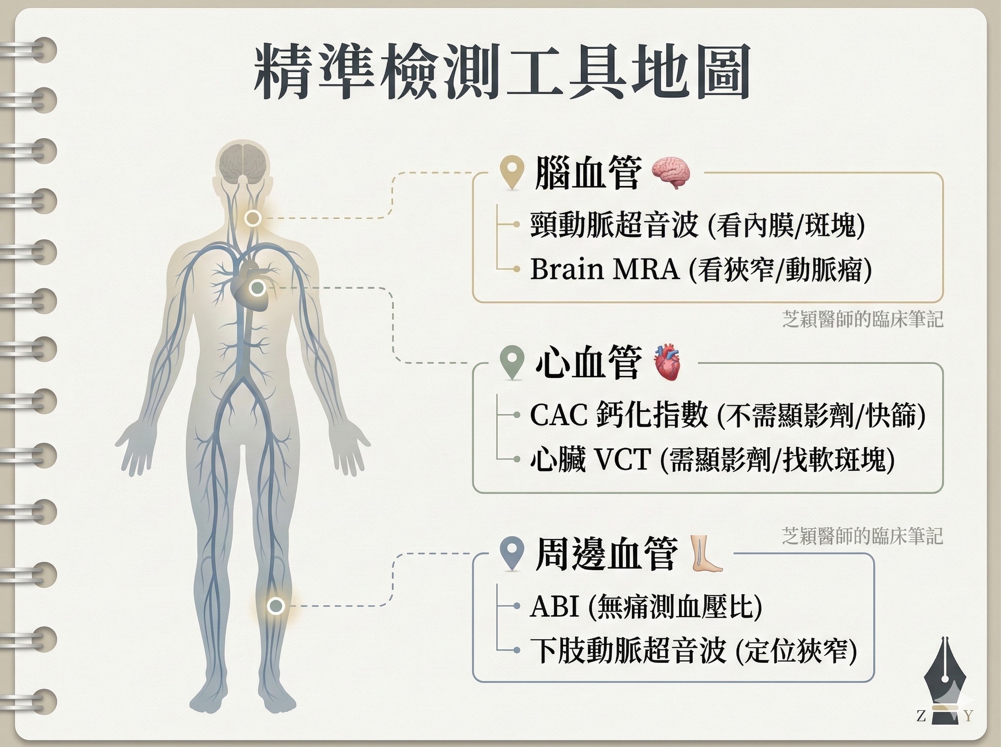 確認血管有無斑塊與鈣化?